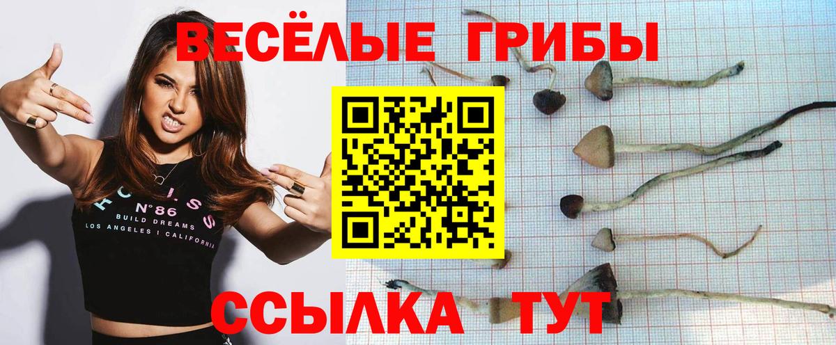 Галлюциногенные грибы прущие грибы  Вход с VPN  Заводоуковск 